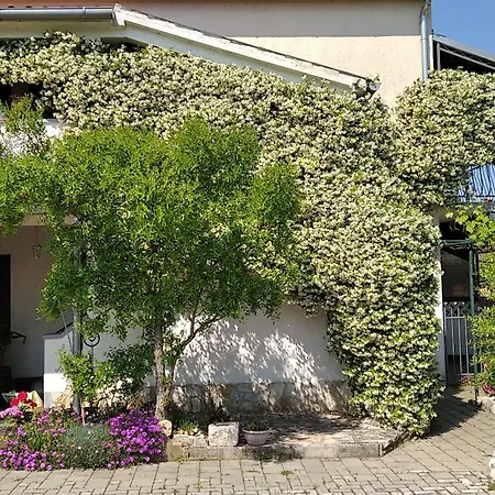 Sasa - Pets Friendly! Lägenhet Poreč