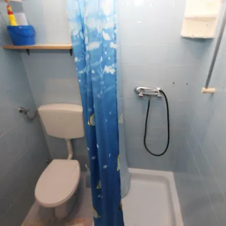 Sasa - Pets Friendly! *