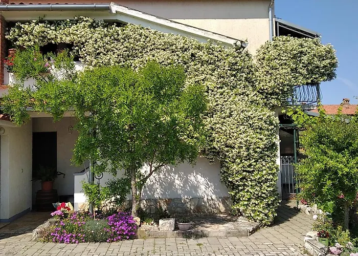Sasa - Pets Friendly! Lejlighed Poreč