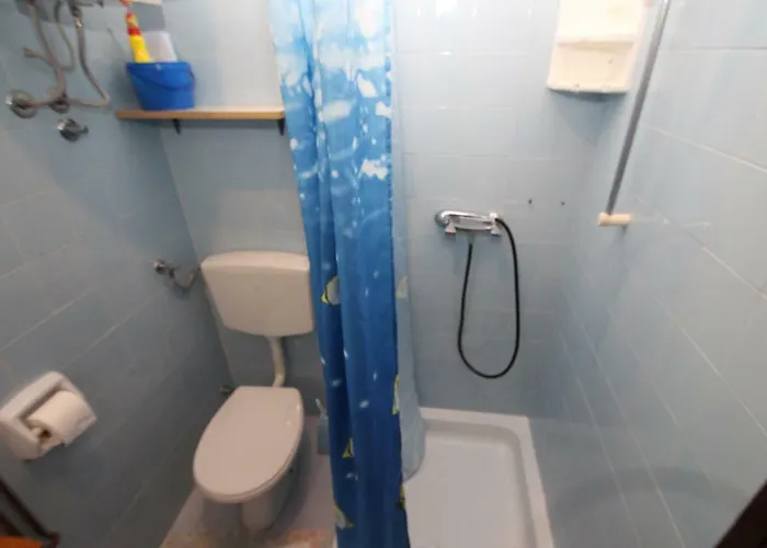 Sasa - Pets Friendly! *