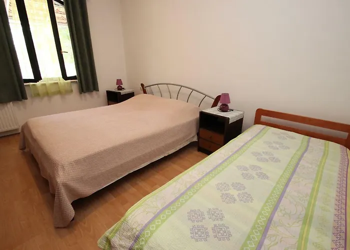 Sasa - Pets Friendly!